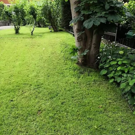 Сasa de vacaciones Nice Little House With Garden Potsdam